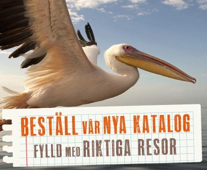 bestaâ• Ãªll-katalog