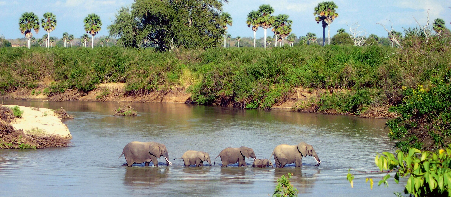 banner_1900x831_tanzania_selous_elephantsinriver