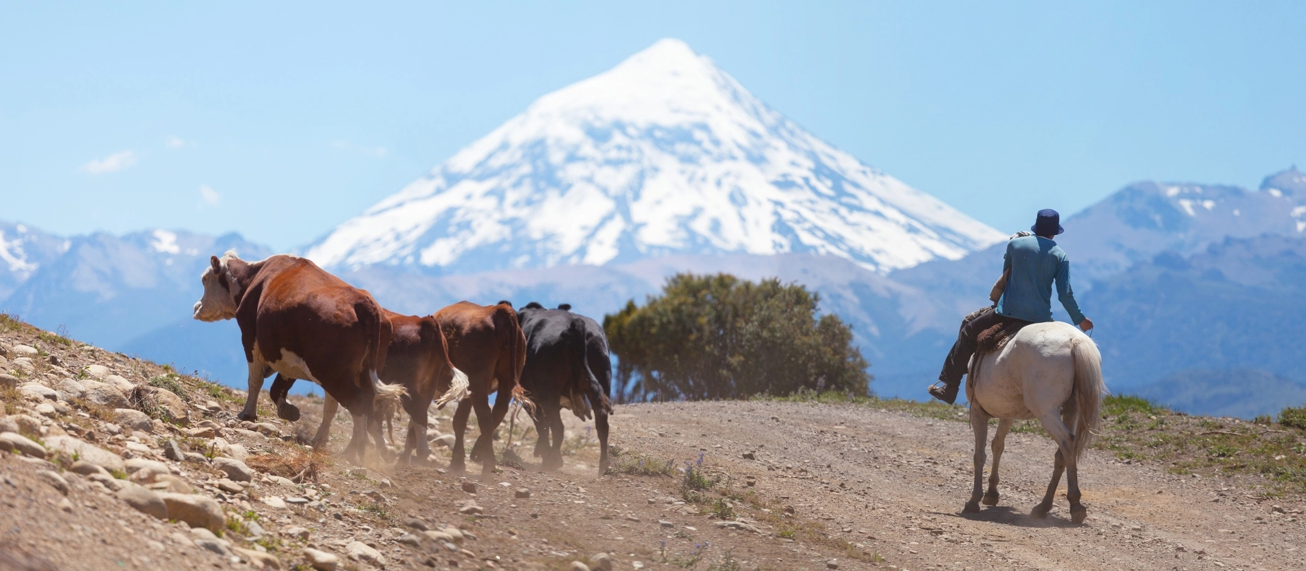 Argentina_Banner8_shutterstock_125311619