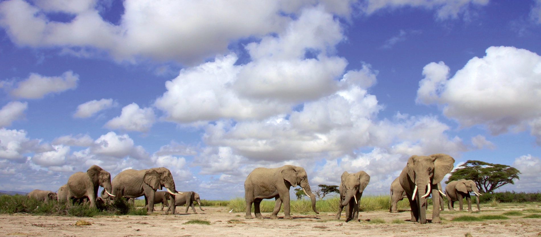 banner_1900x831_kenya