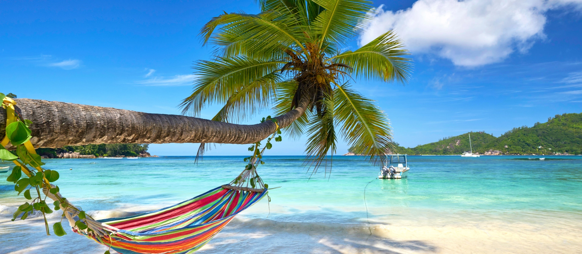 seychellerna_strand och palm_shutterstock_648072241