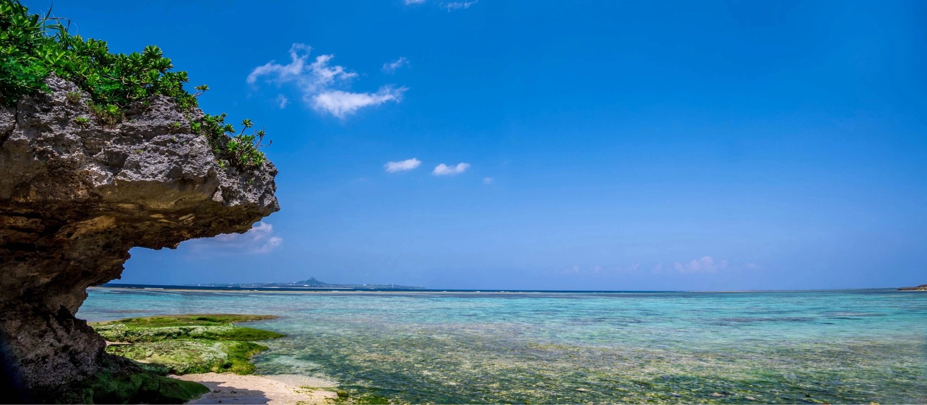 Banner_Okinawa_Expo_Beach__AdobeStock_299791120 (2)