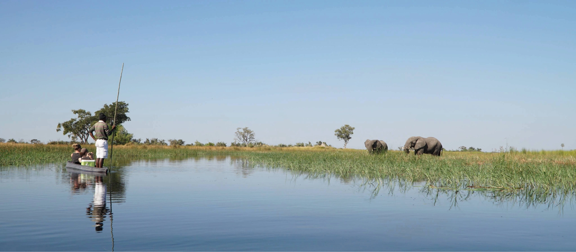 AdobeStock_291431934 (1)