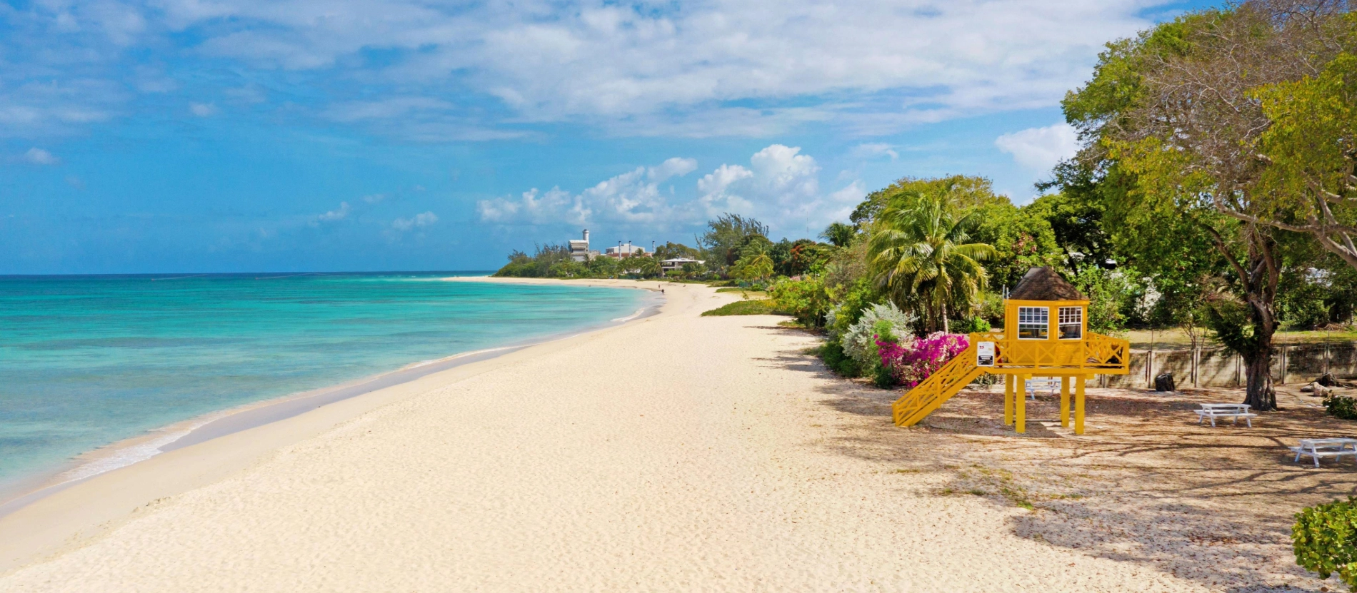 Carlisle Bay (1)
