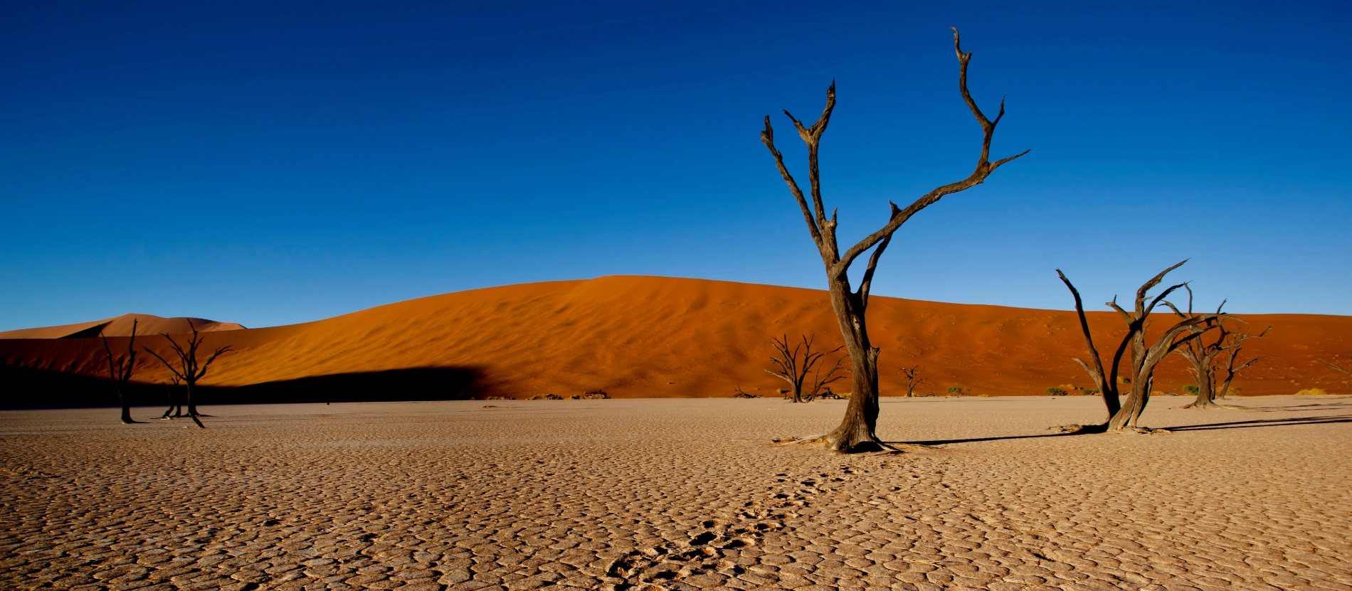 Banner_Namibia_Sossusvlei_deadvlei_AdobeStock_349226407 (1)