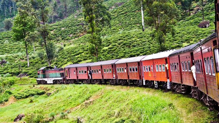 Tog Kandy - Nuwara Eliya