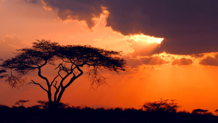 Solnedgang over Samburu