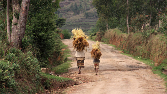 Reisen går gjennom Madagaskars landsbygd.