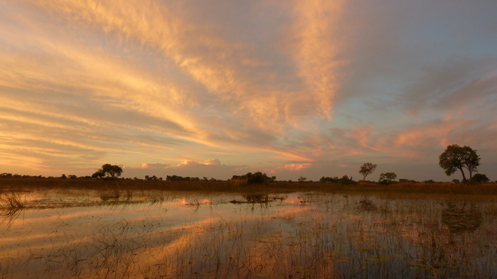 Solnedgang i Okavangodeltaet