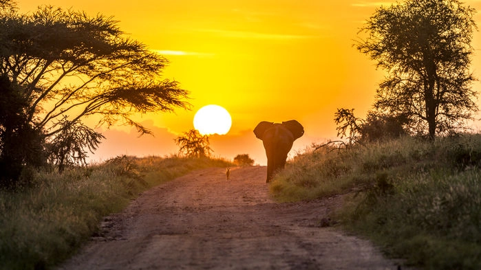 Vår teltlodge i Serengeti, Ikoma Bush Camp.