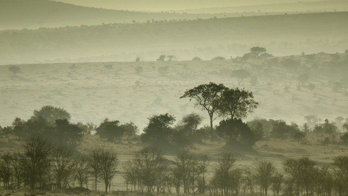 Soloppgang over Serengeti.