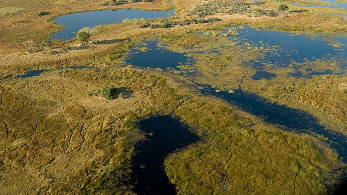 Okavangodeltaet fra oven