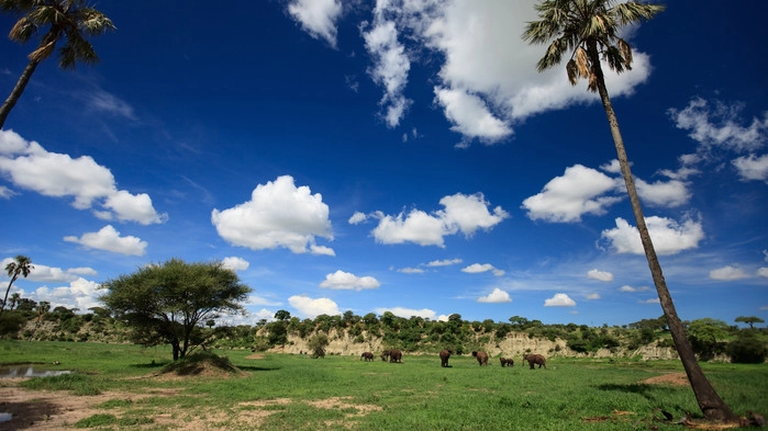 Tarangire nasjonalpark.