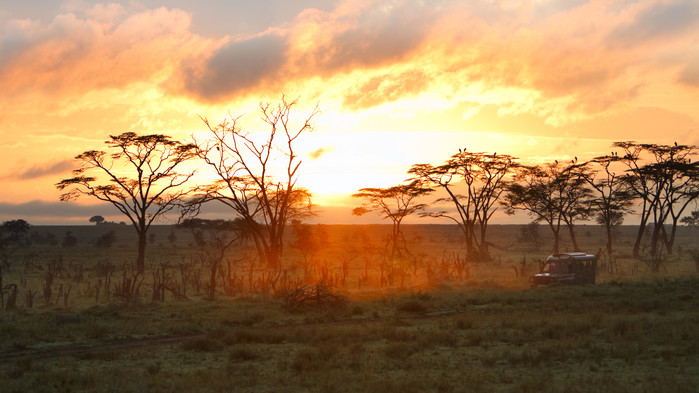 Solnedgang, Serengeti.